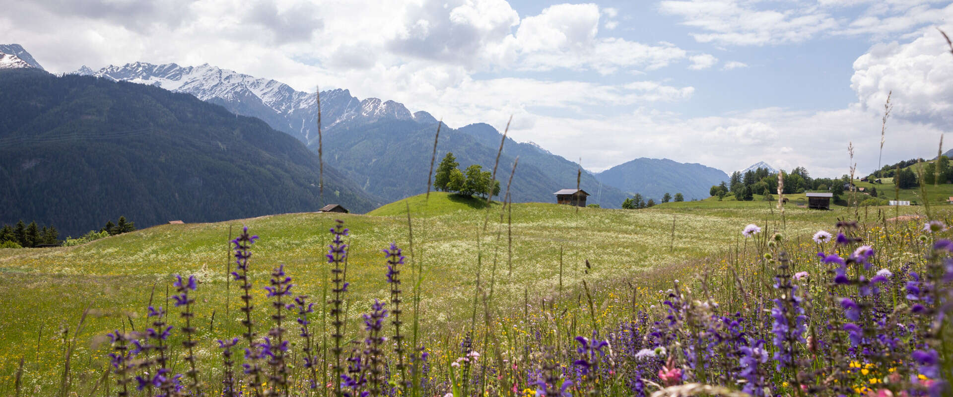 Summer landscape in Serfaus - Fiss - Ladis