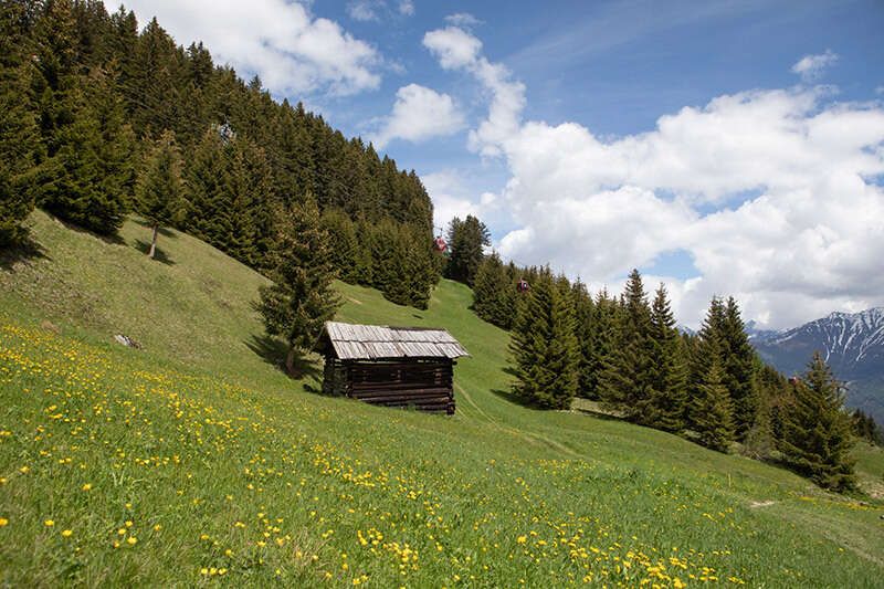 Sommerlandschaft mit Holzhütte