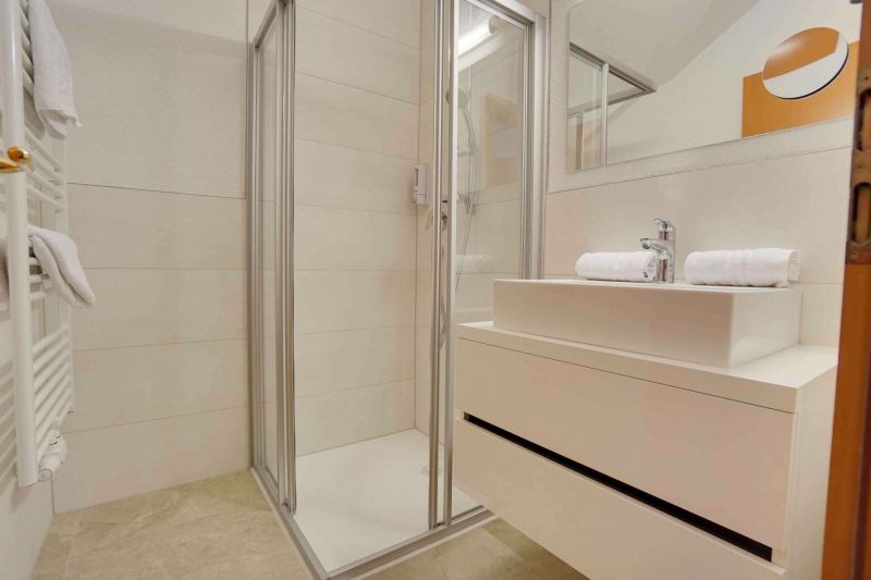 Bathroom with shower in apartment type C